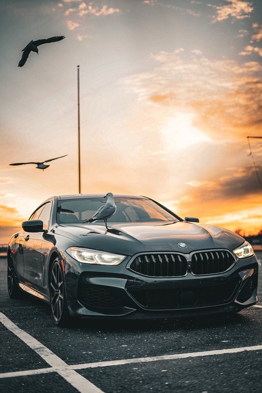 BMW M8 Front with Headlights On