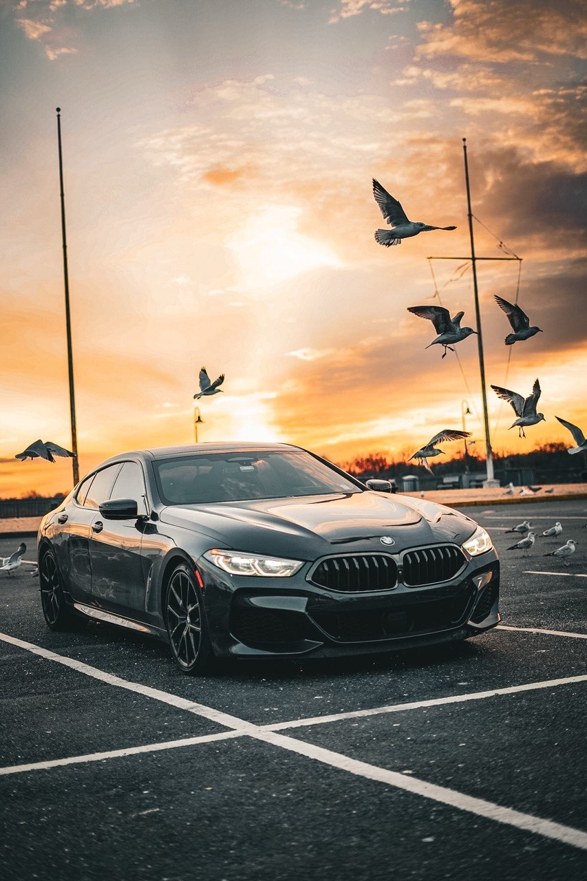 BMW M8 Surrounded by Birds